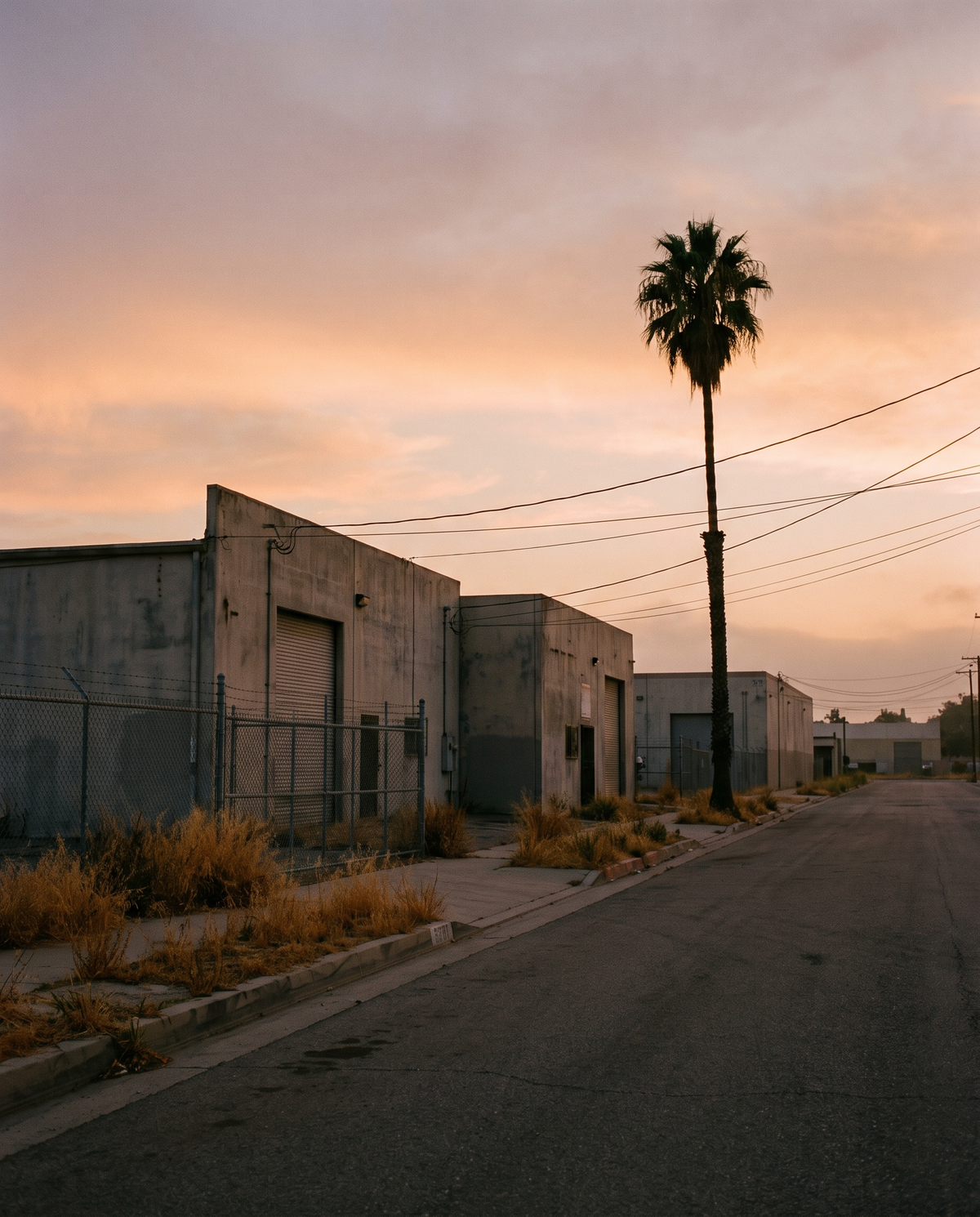 Inland Empire industrial street at dusk with a single palm tree