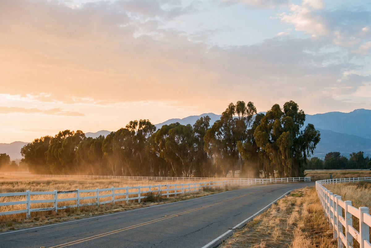Rural road with white fencing and eucalyptus at golden hour in Norco, California