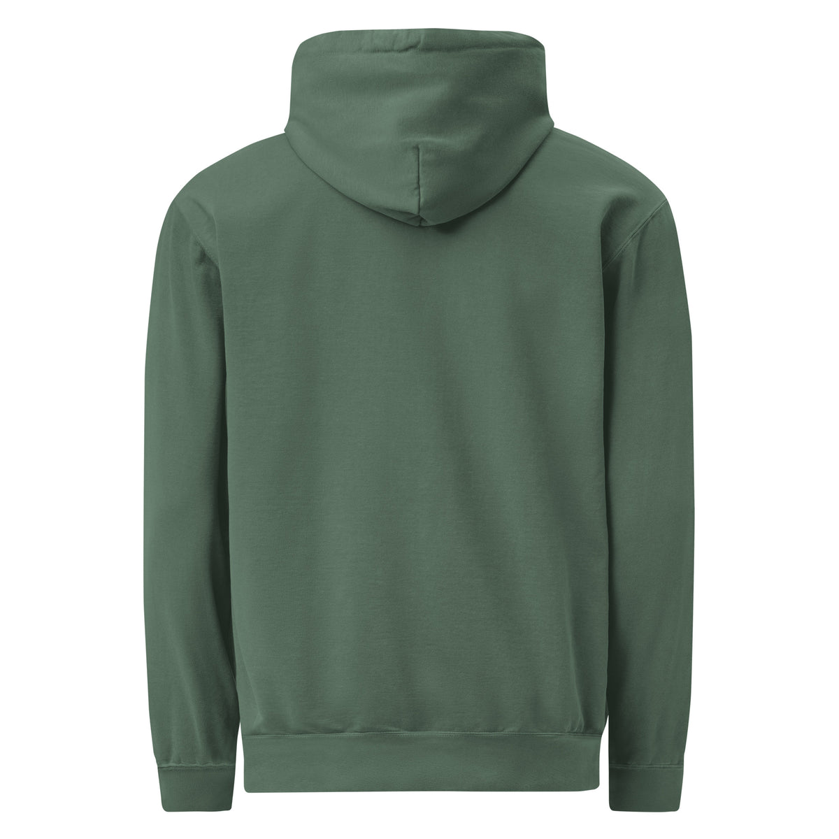 Icon Hoodie in Blue Spruce — Bradford Sports, back view